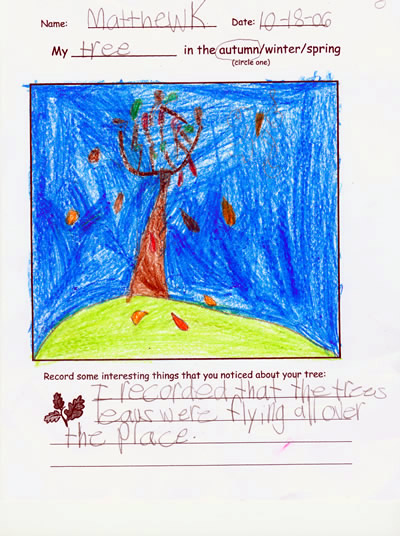 Artwork by Matthew K.