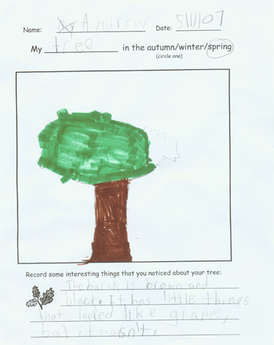 Andrew's Spring Artwork