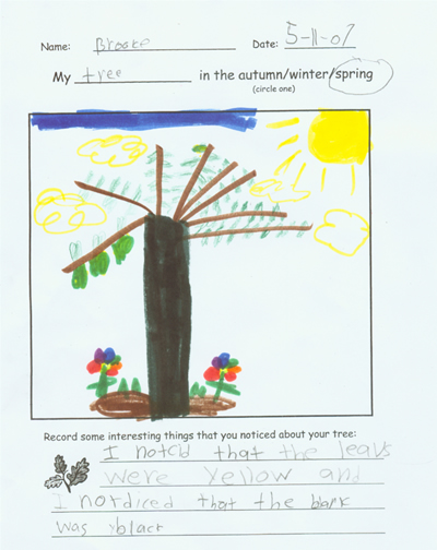 Brooke's Spring Artwork