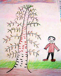 Maxim's Fall Tree Drawing