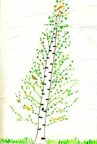 Spring Tree by Maxim