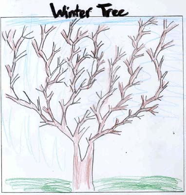winter tree