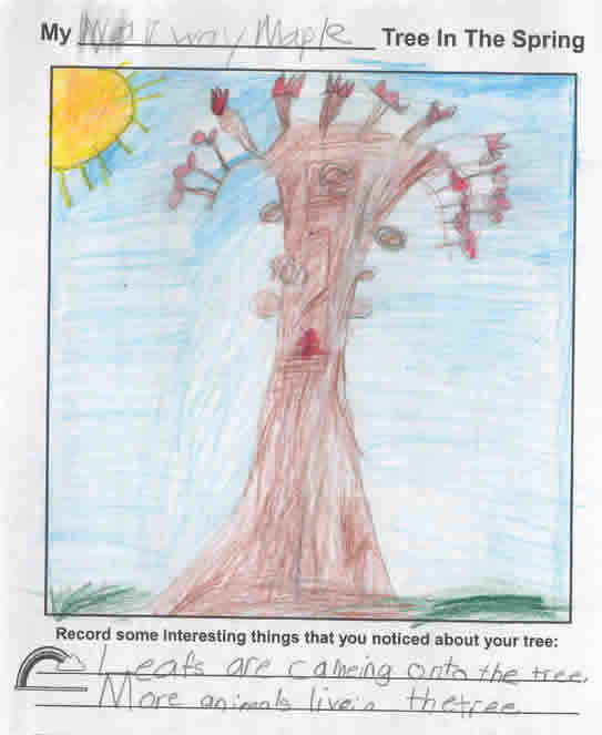 Lauren's Spring Tree