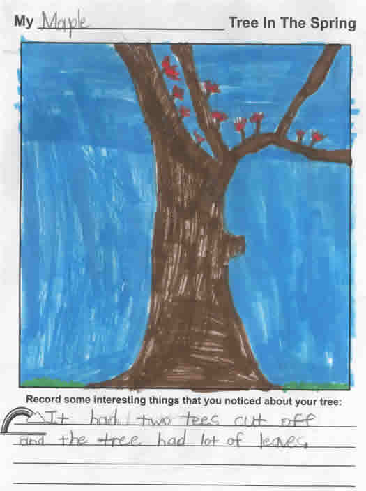 Leo's Spring Artwork