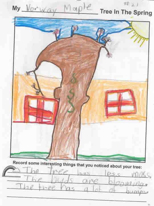 Tara's Spring Artwork