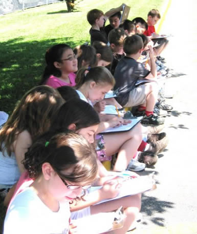 Class 2F doing spring observations