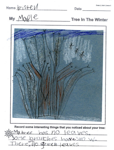 Kristen's Winter Tree