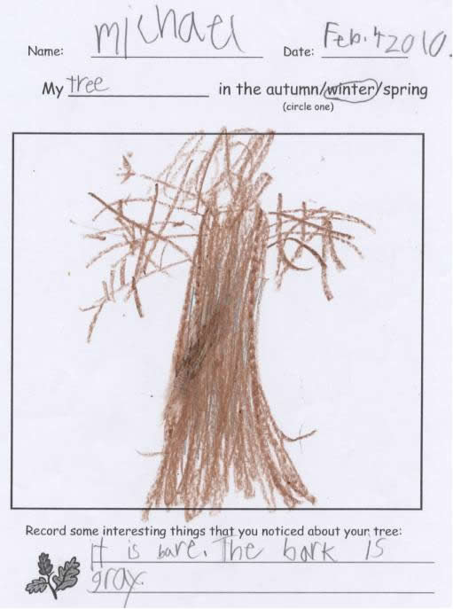 Michael's Tree