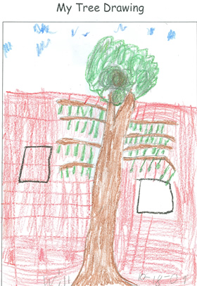 Tree Drawing by Will