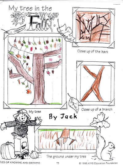 My Tree in Fall by Jack