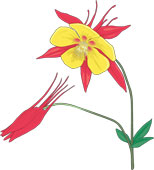 Columbine