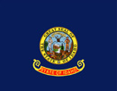 State flag