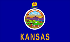 State Flag